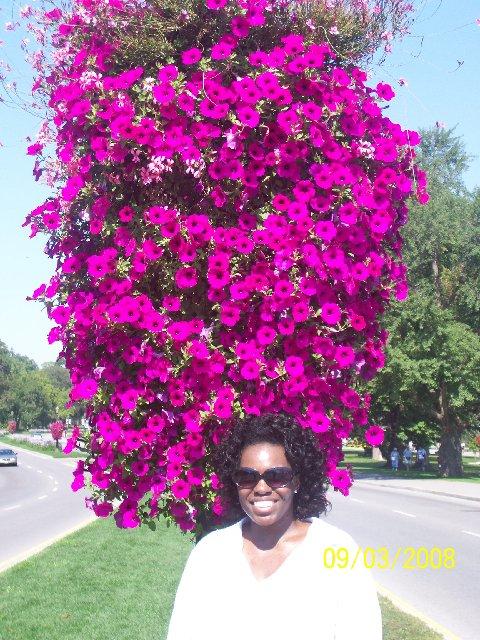 Ashtabula Jones 

under flowers