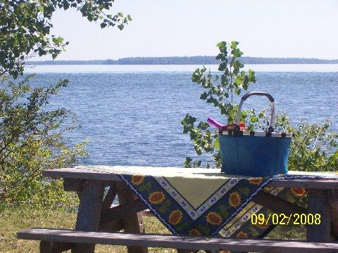 picnic table with 

basket