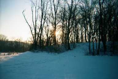 Sunrise through winter woods