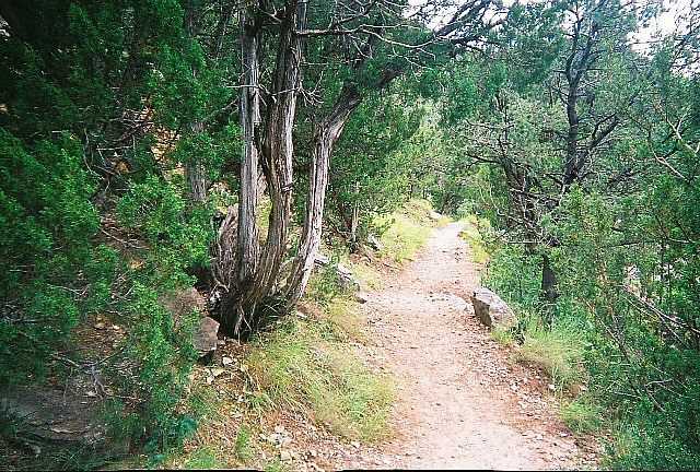 Mountain trail